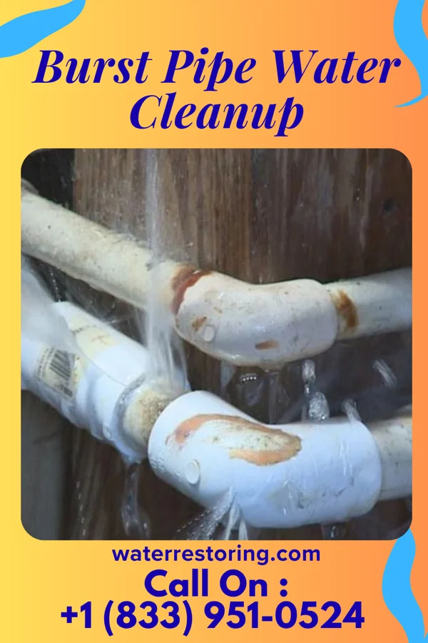 Burst Pipe Water Cleanup in Wahpeton, IA