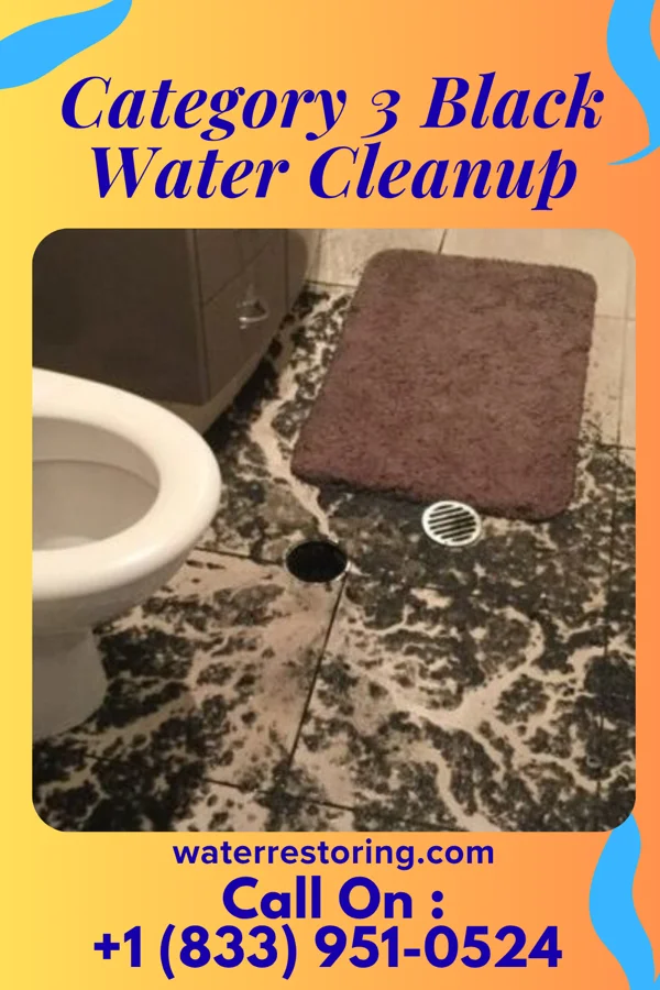 Category 3 Black Water Cleanup in Wahpeton, IA