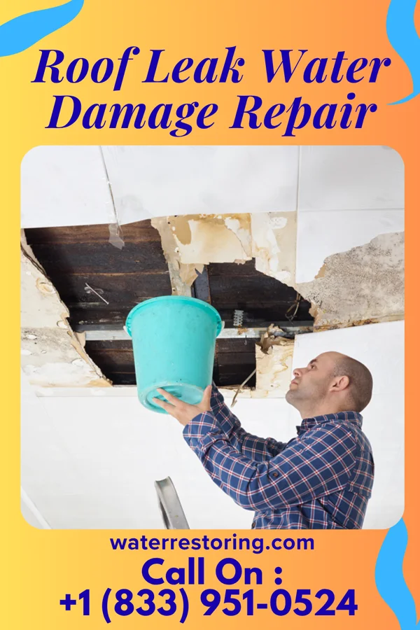 Roof Leak Water Damage Repair in Wahpeton, IA