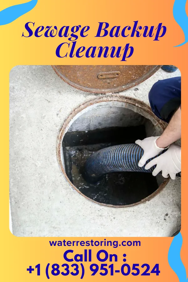 Sewage Backup Cleanup in Wahpeton, IA