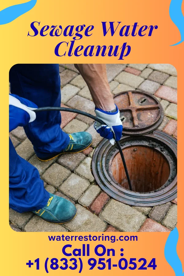 Sewage Water Cleanup in Wahpeton, IA